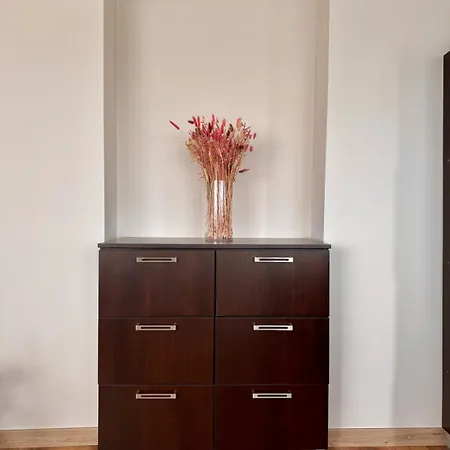דירה Spacious And Stylish Near The Center וארנה